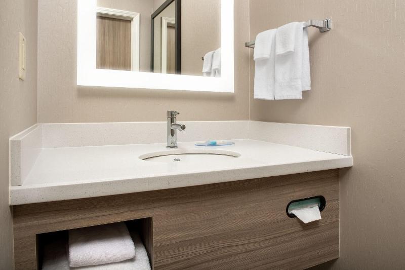 스탠다드 룸, Springhill Suites By Marriott Atlanta Buford/mall Of Georgia