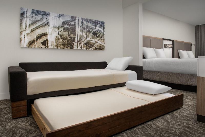 스위트, Springhill Suites By Marriott Atlanta Buford/mall Of Georgia