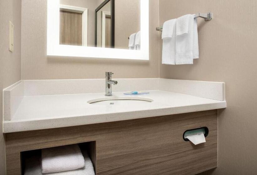 스위트, Springhill Suites By Marriott Atlanta Buford/mall Of Georgia