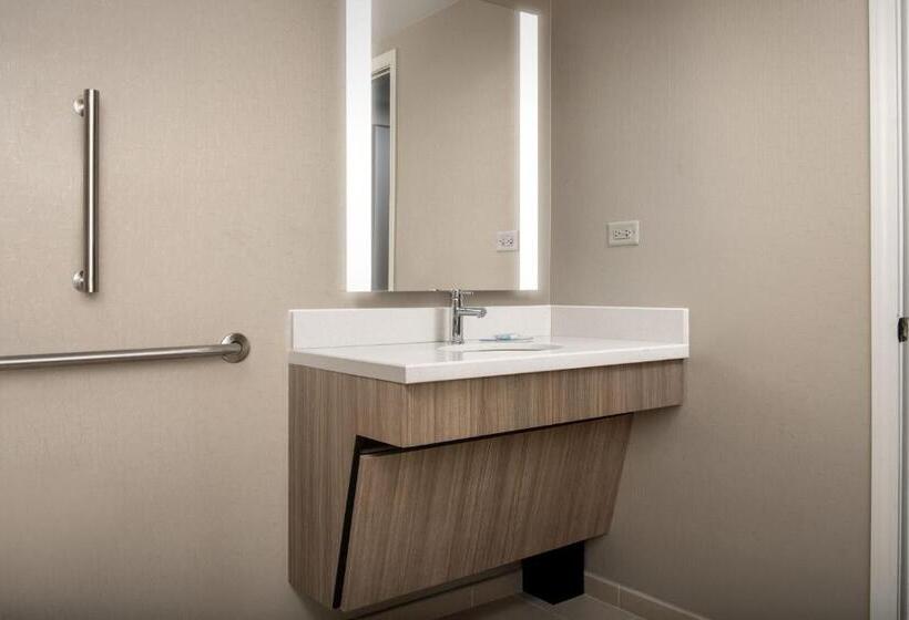 스위트 킹사이즈 침대, Springhill Suites By Marriott Atlanta Buford/mall Of Georgia