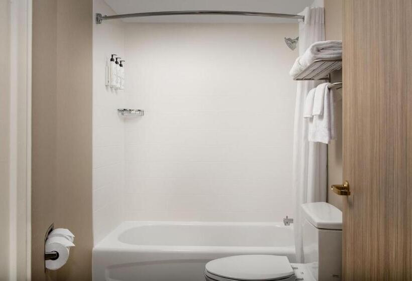 장애인을 위한 스위트, Springhill Suites By Marriott Atlanta Buford/mall Of Georgia