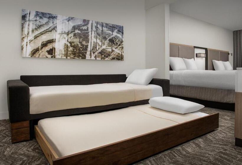 장애인을 위한 스위트, Springhill Suites By Marriott Atlanta Buford/mall Of Georgia
