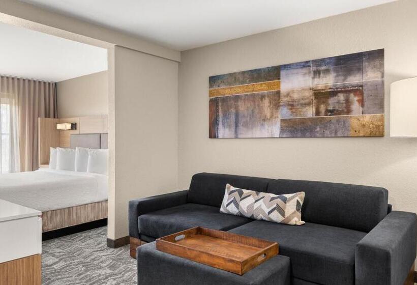 キングサイドベッドのスタンダードワンルーム, Springhill Suites By Marriott Chicago Bolingbrook