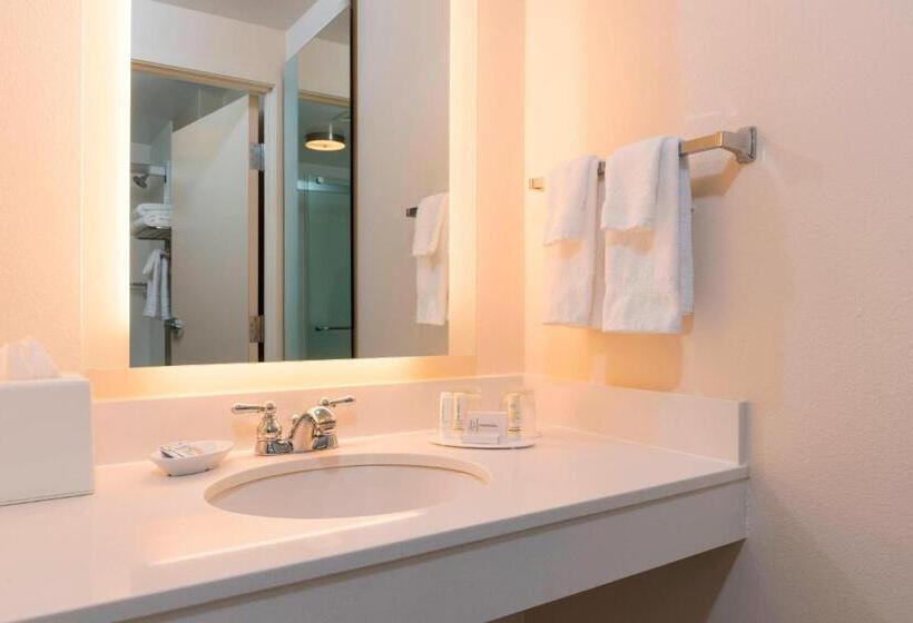 Люкс Кровать Кинг, Springhill Suites Grand Rapids North