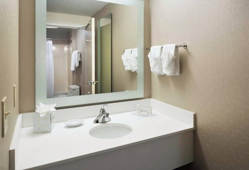 Люкс, Springhill Suites Milford