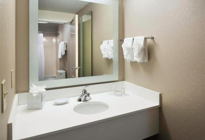 Люкс Адаптированный для Инвалидов, Springhill Suites Milford