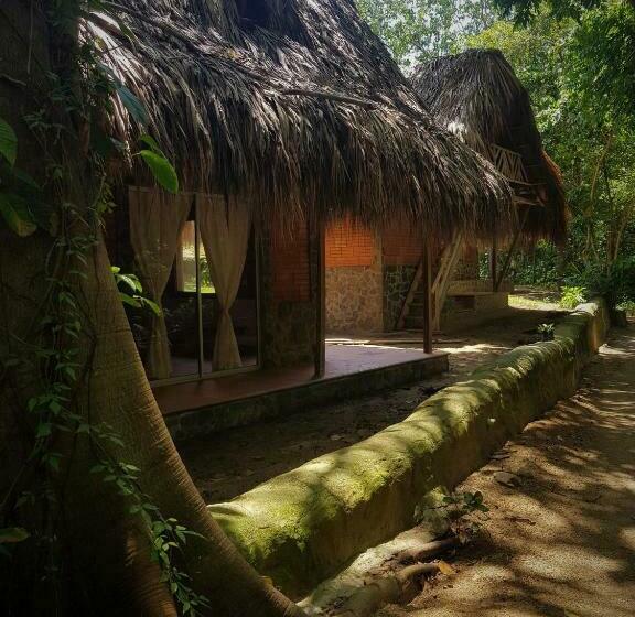 스탠다드 룸, Origen Hostel