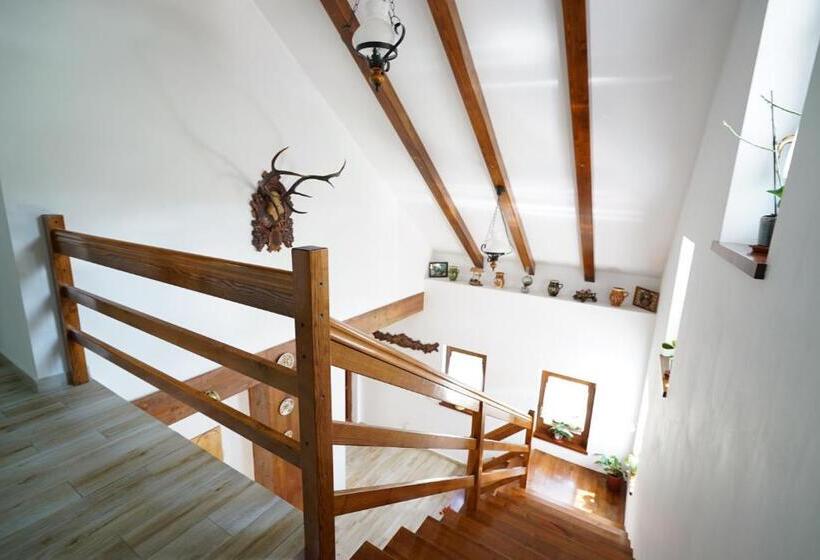 اتاق استاندارد, Casa Bunicii