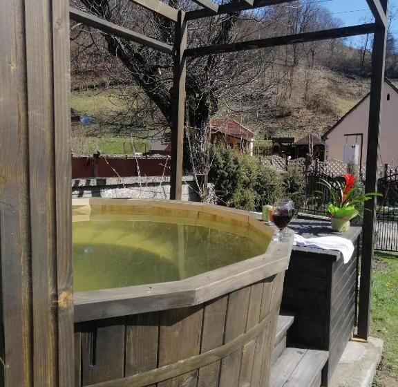 Номер Стандарт Совместная Ванная, Casa De Vacanta Silvia Varmaga