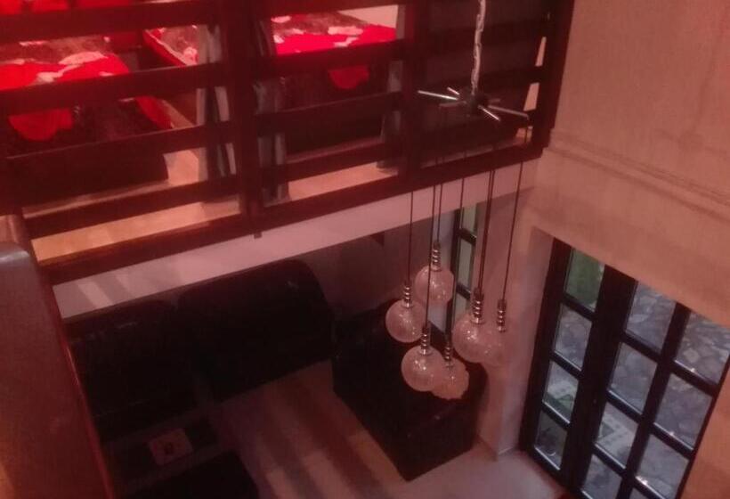 Студия Стандарт, Casa De Vacanta Silvia Varmaga