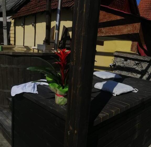 Студия Стандарт, Casa De Vacanta Silvia Varmaga