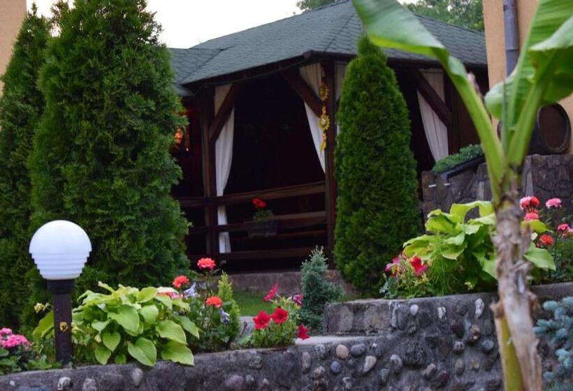 Студия Стандарт, Casa De Vacanta Silvia Varmaga