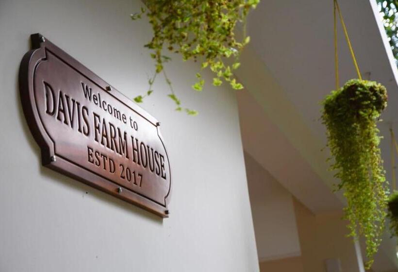스탠다드 방갈로, Davis Farm House
