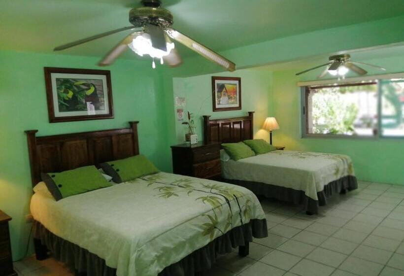 Quarto Estandar Vista Jardim, Freedom Shores La Gringa Hotel   Universally Designed