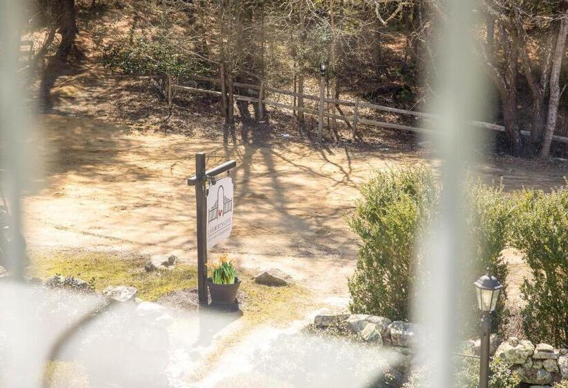 스탠다드 룸 킹사이즈 침대, Lambert S Cove Inn & Resort