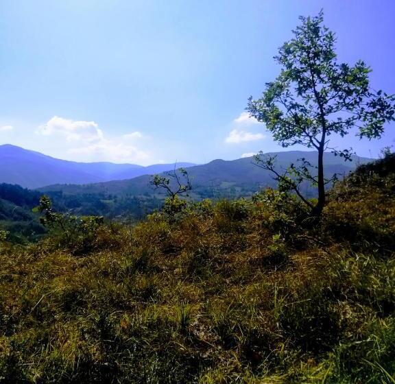标准间, Agriturismo Malvista