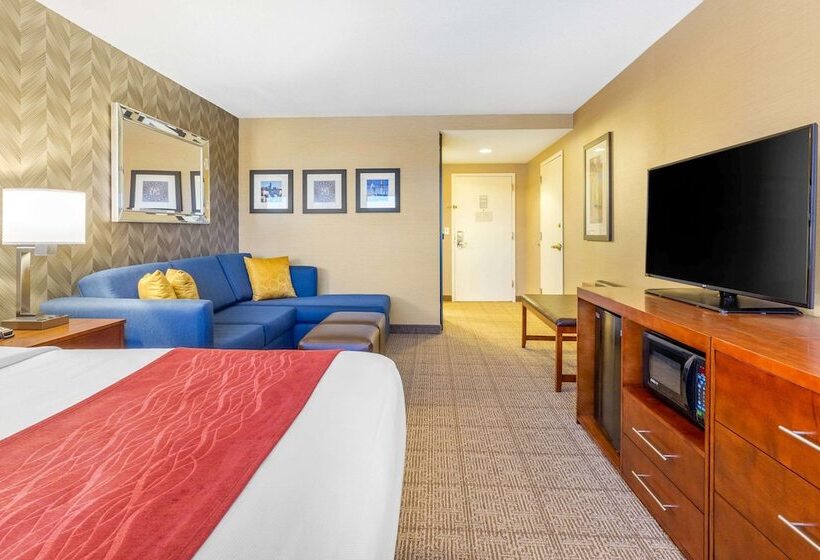 Люкс Адаптированный для Инвалидов, Comfort Inn & Suites Logan International Airport