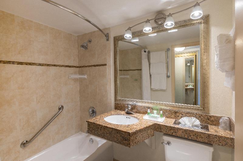 带大床的套房, Holiday Inn Hotel Port Of Miami Downtown, An Ihg