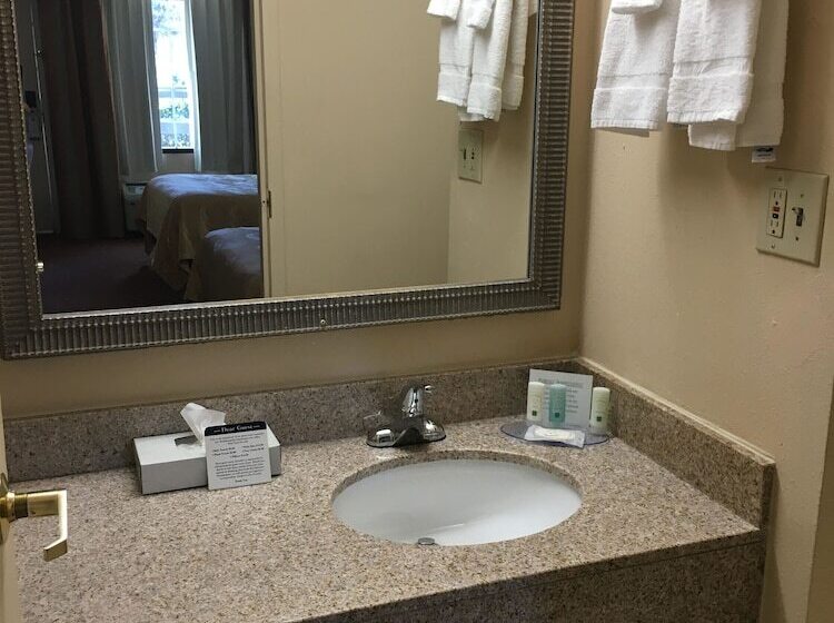 Люкс, Quality Inn & Suites Hanes Mall