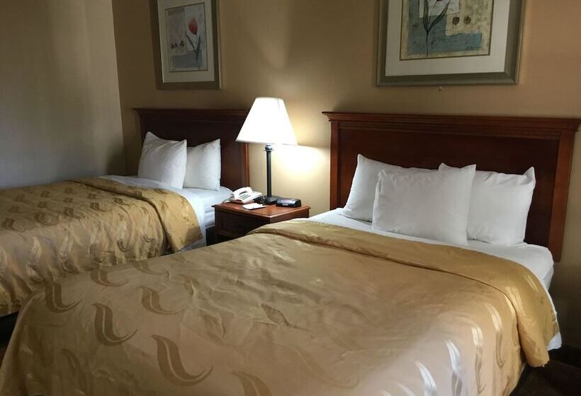 Люкс, Quality Inn & Suites Hanes Mall