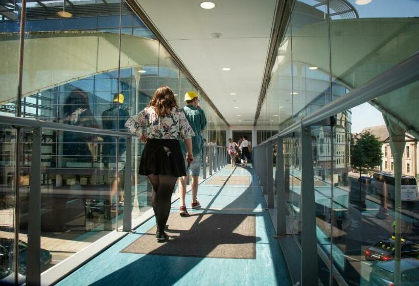 스탠다드 싱글 룸, Trinity College  Campus Accommodation