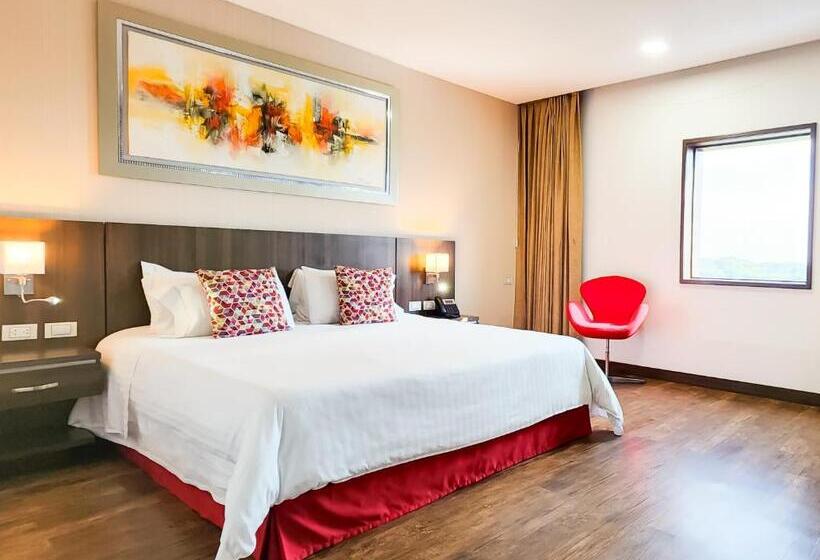 수피리어 룸, Royal Elim International