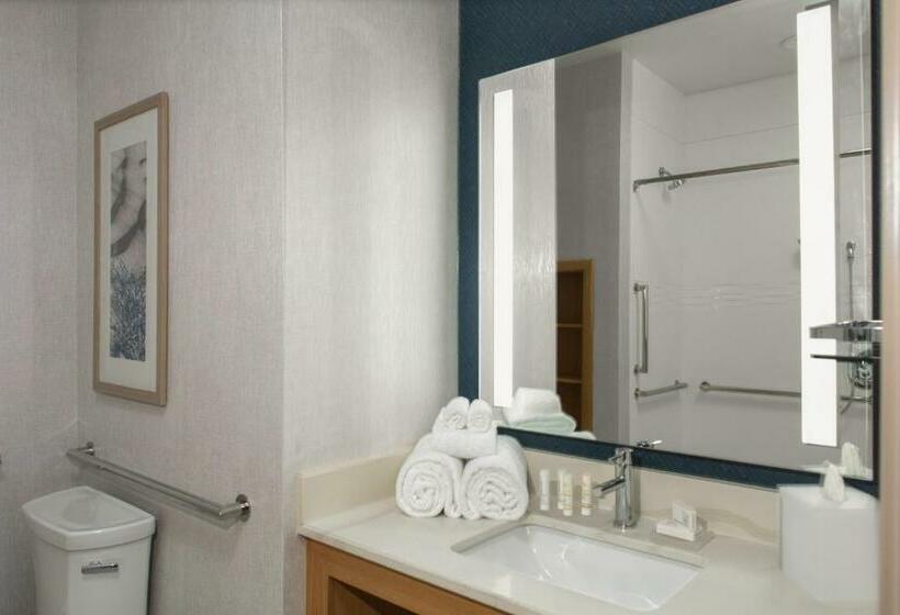 Люкс Кровать Кинг, Residence Inn By Marriott Jekyll Island