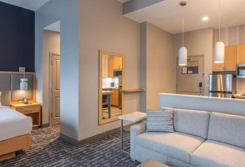 Студио Стандарт Кровать Кинг, Residence Inn By Marriott Jekyll Island