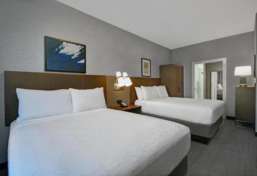 Номер Стандарт, Holiday Inn Express Houston   Galleria Area By Ihg