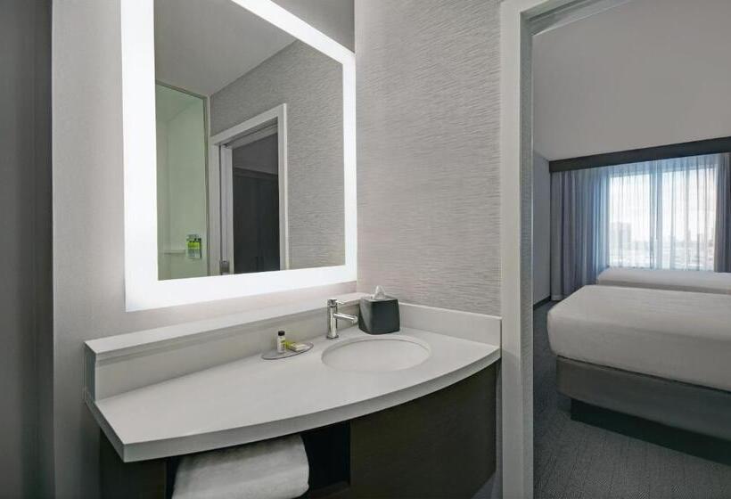 Номер Стандарт, Holiday Inn Express Houston   Galleria Area By Ihg