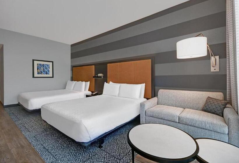 Номер Стандарт Адаптированный для Инвалидов, Holiday Inn Express Houston   Galleria Area By Ihg
