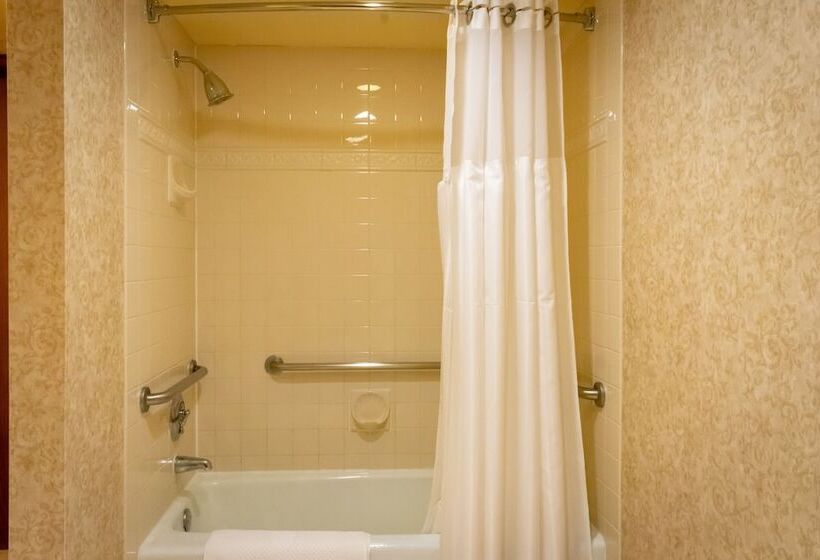 Номер Стандарт Адаптированный для Инвалидов, Doubletree By Hilton San Jose