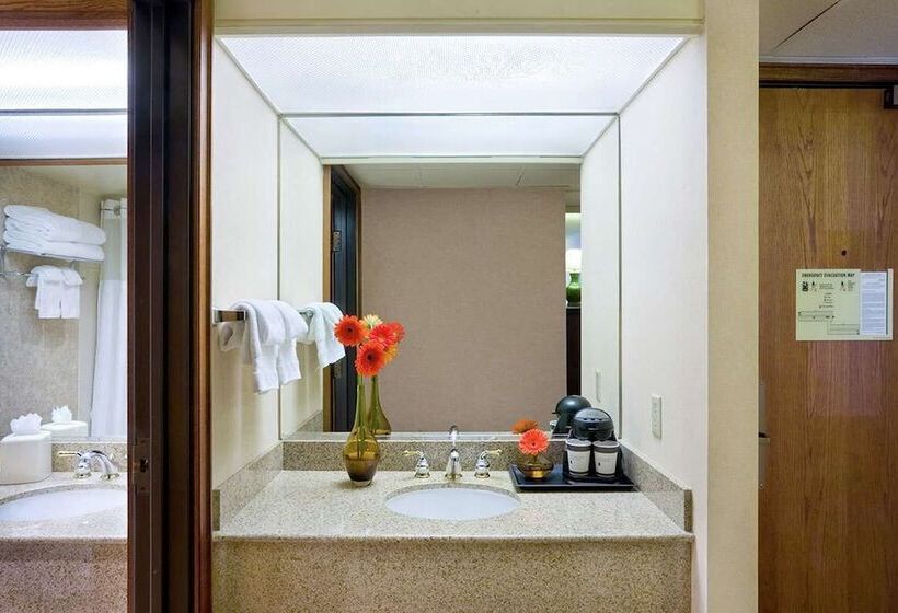 Номер Стандарт Двуспальная Кровать, Doubletree By Hilton San Jose