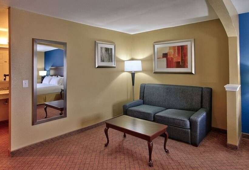 Suite, Holiday Inn Express Hotel & Suites Houston Downtown Convention Center, An Ihg