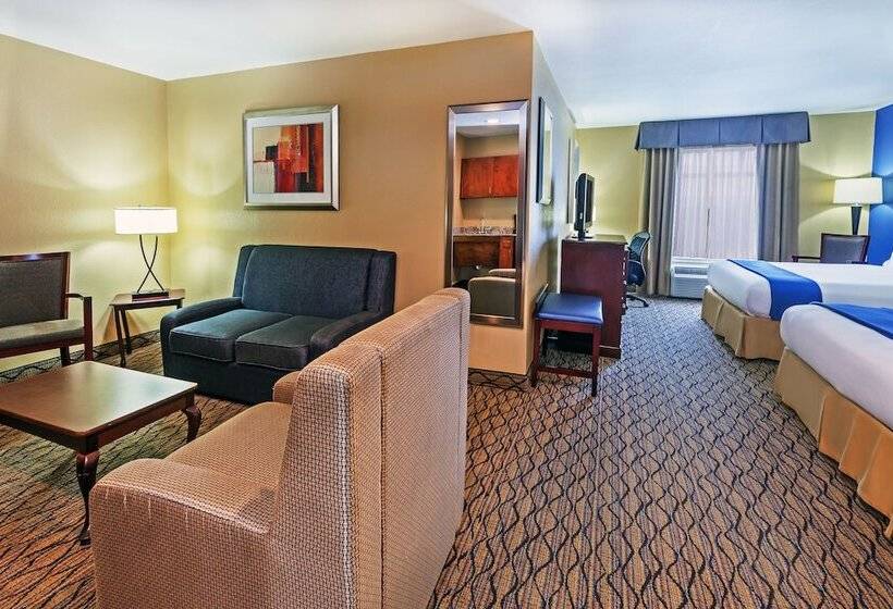 Suite Adaptée aux Personnes à Mobilité Réduite, Holiday Inn Express Hotel & Suites Houston Downtown Convention Center, An Ihg
