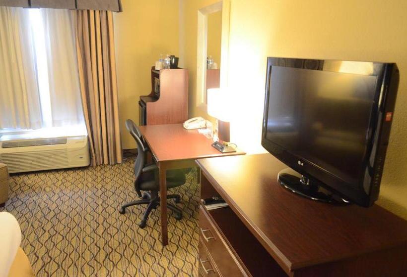 Chambre Standard Lit King Size Adaptée aux Personnes à Mobilité Réduite, Holiday Inn Express Hotel & Suites Houston Downtown Convention Center, An Ihg