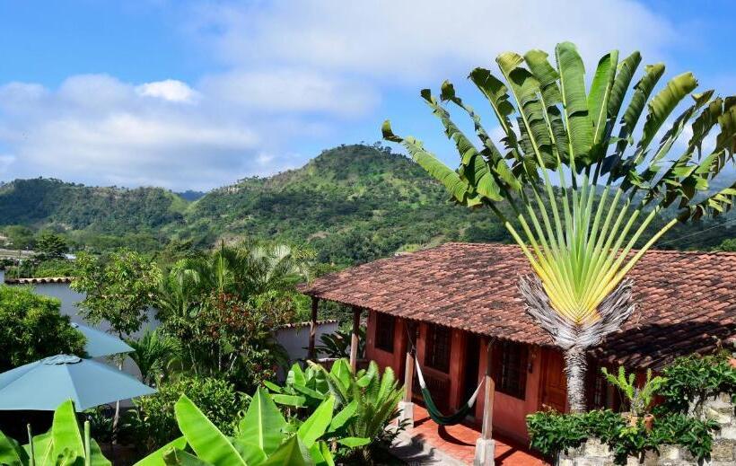 اتاق استاندارد با چشم‌انداز باغ, La Casa De Cafe Bed And Breakfast