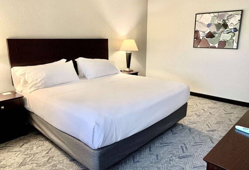 适合残疾人士使用的套间, Best Western Oswego