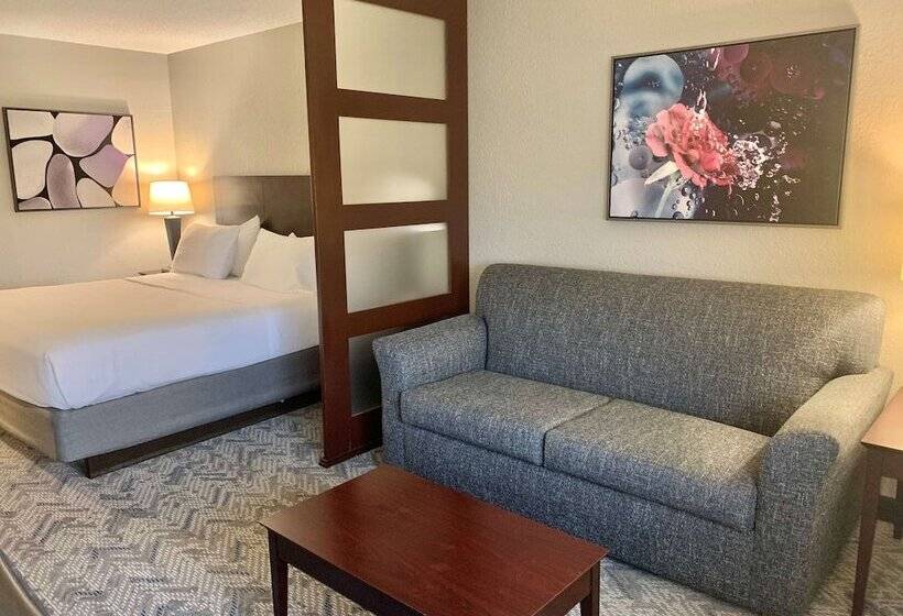 套房, Best Western Oswego