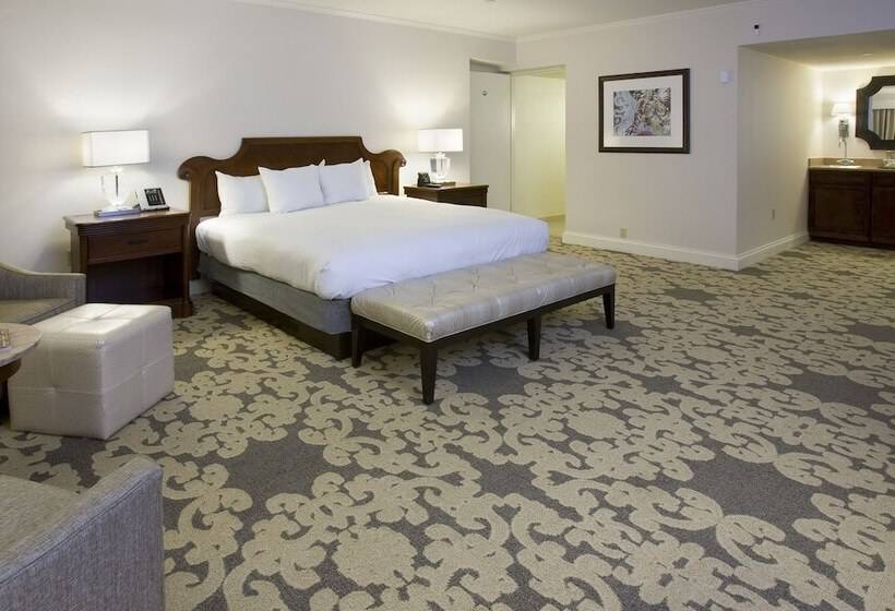 Номер Deluxe, Hilton New Orleans Riverside