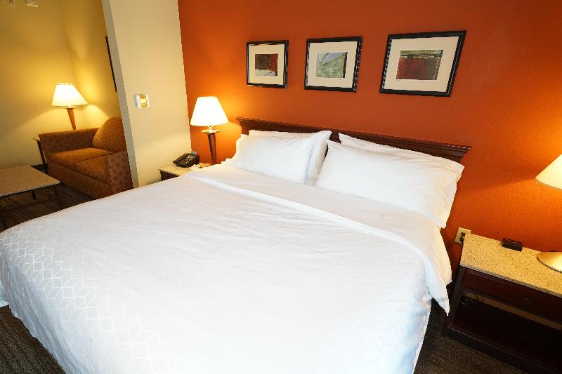 스위트 킹사이즈 침대, Holiday Inn Express Hotel & Suites Tampa Oldsmar, An Ihg