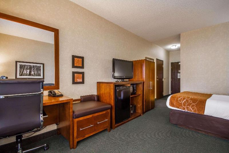 장애인을 위한 킹사이즈 침대 스탠다드 룸, Holiday Inn Express Hotel & Suites Tampa Oldsmar, An Ihg