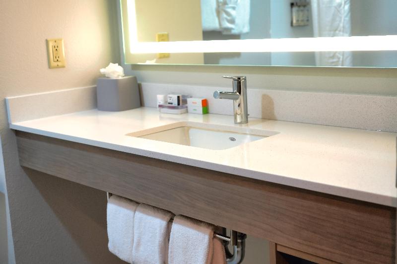 스탠다드 룸 킹사이즈 침대, Holiday Inn Express Hotel & Suites Tampa Oldsmar, An Ihg