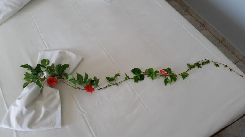 스탠다드 싱글 룸, Astir Palace