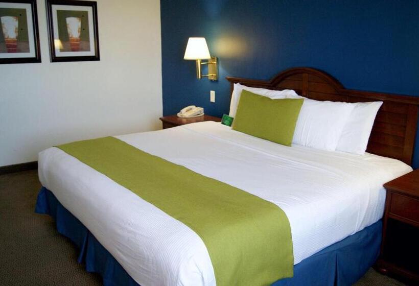 キングサイズベッドのスタンダードルーム, Best Western Plus Los Mochis