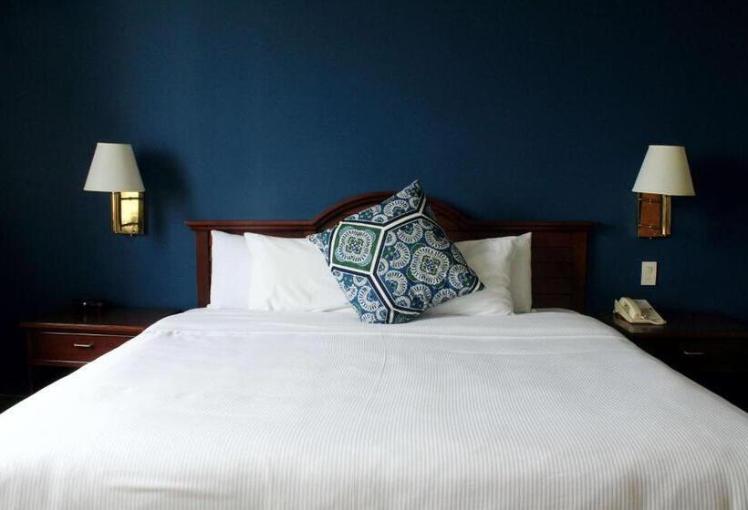 キングサイズベッドのスイートルーム, Best Western Plus Los Mochis