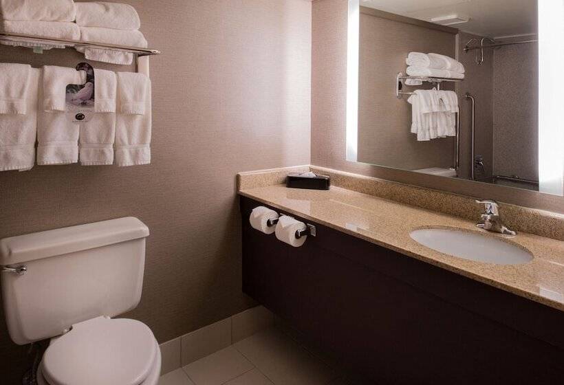 标准间, Holiday Inn St Louis Downtown/convention Center, An Ihg