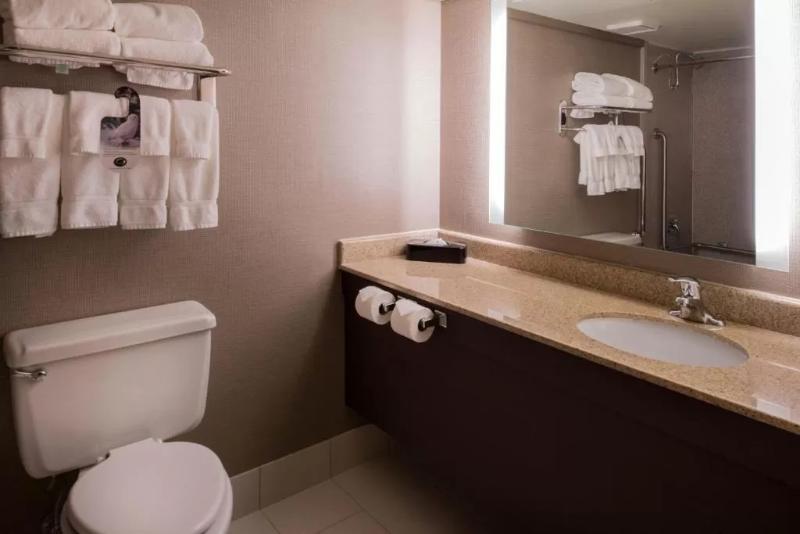 适合残疾人使用的标准间, Holiday Inn St Louis Downtown/convention Center, An Ihg