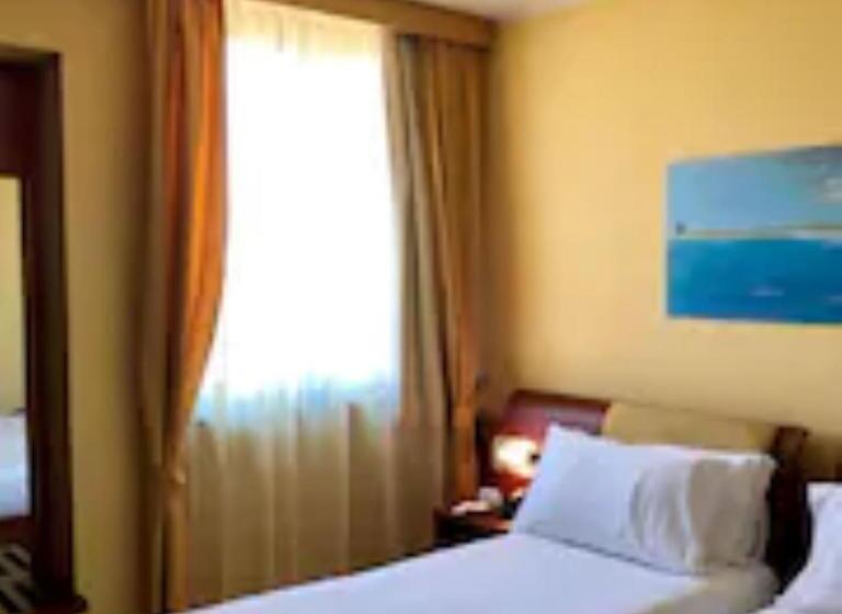 اتاق سوپریور, Best Western Hotel Nettuno