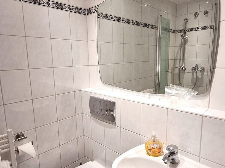 스탠다드 룸 더블 침대, Adler Hotel Frankfurt